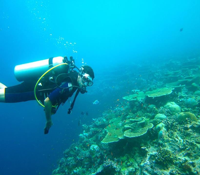 Aruba Scuba Diving